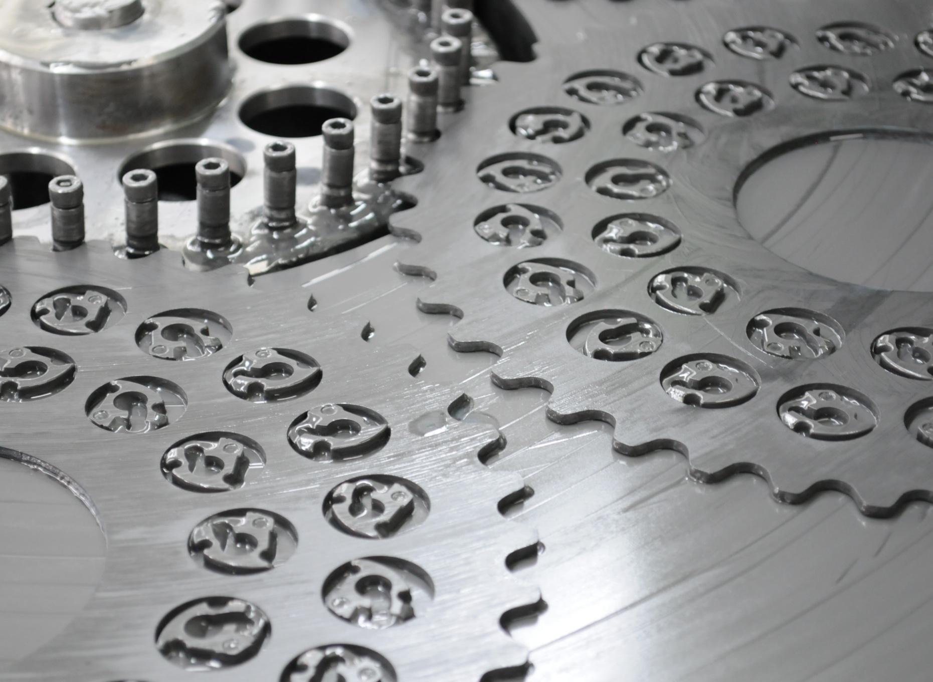 DSC_0461_aspect_1.368691189050